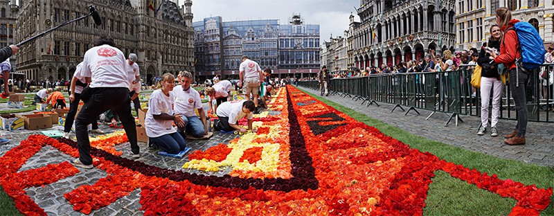©http://www.flowercarpet.brussels/　こちらは準備中の様子。100人以上で作り上げます