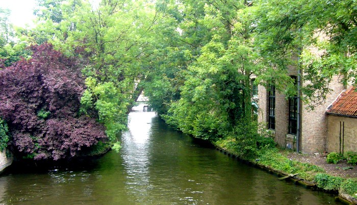 ブルージュでは小舟に乗って家と家の間をボートで巡ります。アムステルダムのボート巡りとはまた違う雰囲気です。