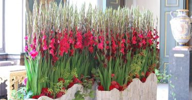 ベルギーの花のイベント、フラワータイムの様子